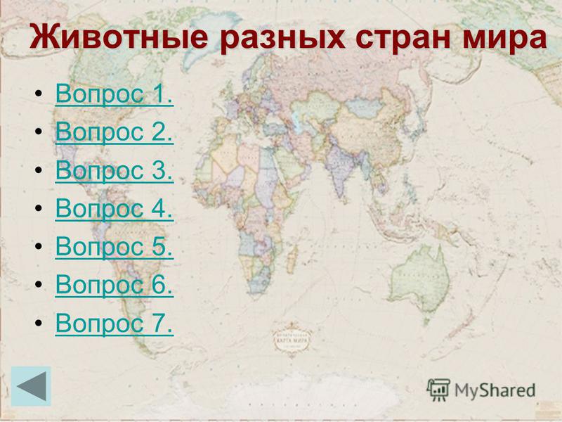 Животные разных стран презентация