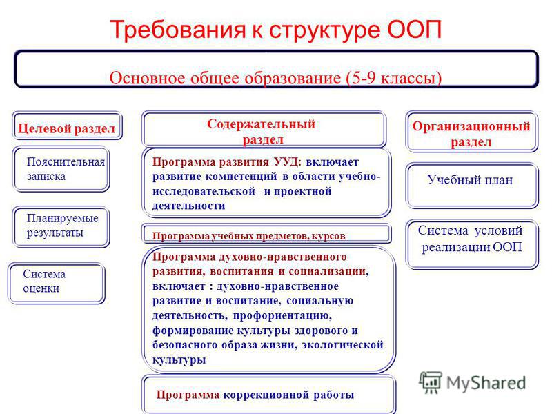 Сведения об образовательной организации