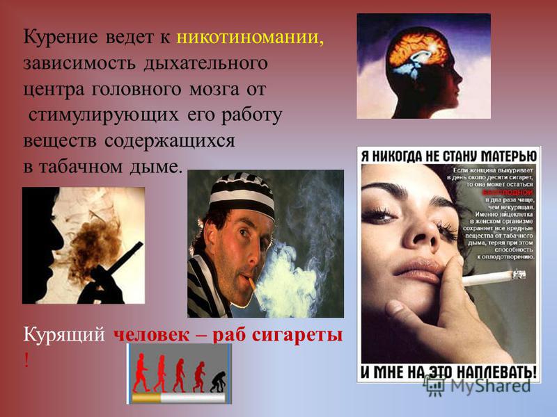 Курение ведет к никотиномании, зависимость дыхательного центра головного мозга от стимулирующих его работу веществ содержащихся в табачном дыме. Курящий человек – раб сигареты !