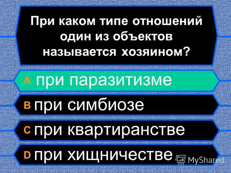 Какие типы отношений вы знаете Какие типы отношений вы знаете