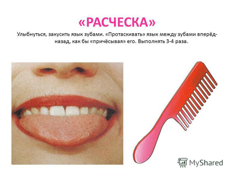 книги косиновой артикуляционная гимнастика 800 x 600 · jpeg книги косиновой артикуляционная гимнастика 800 x 600 · jpeg