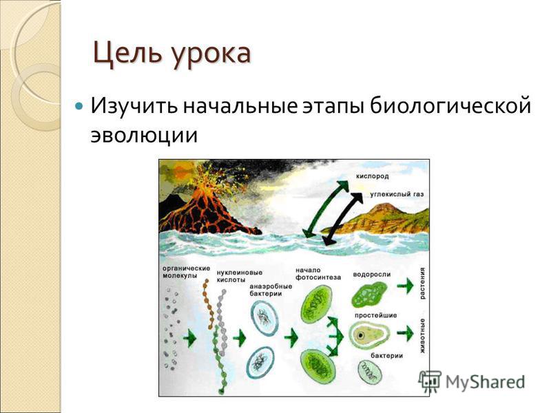 Доклад: Эволюция энергетических процессов у эубактерий
