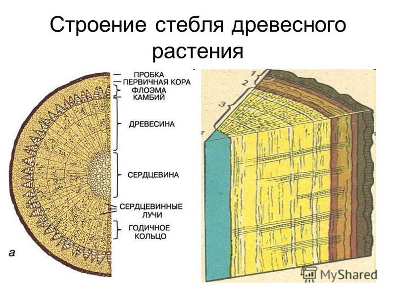 Порно онлайн в HD качестве смотреть лучшее секс видео