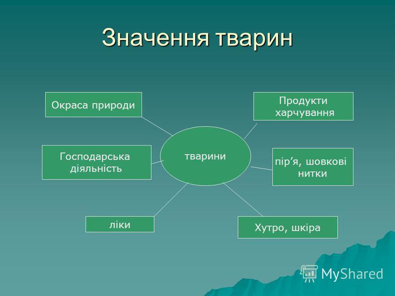 Картинки з природою тваринами Картинки з природою тваринами