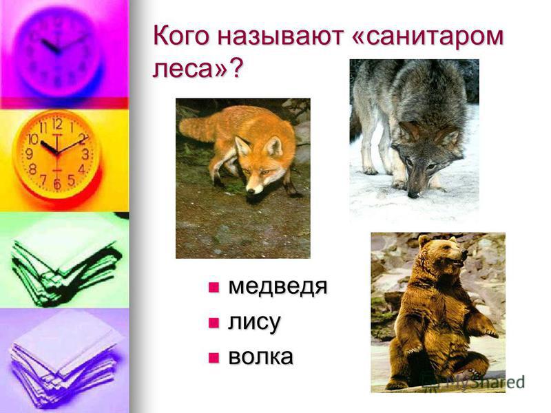 Кого называют своими руками Кого называют своими руками
