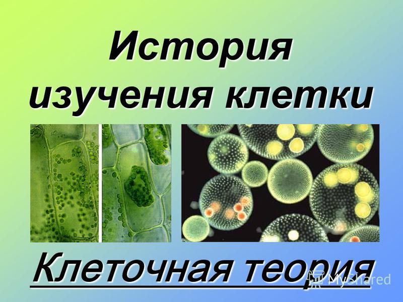 Доклад на тему история изучения клетки 4475