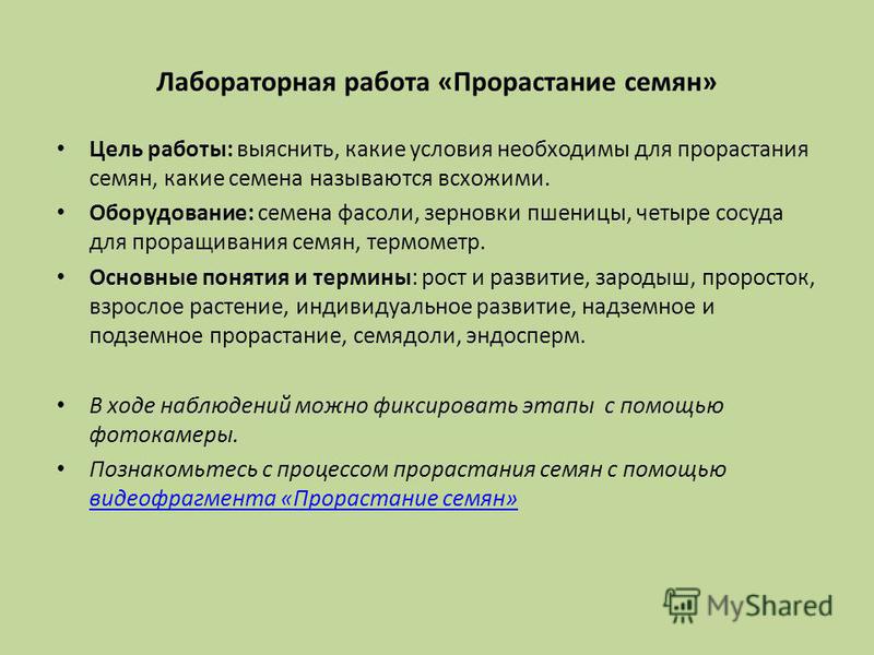 Практическая Работа Развитие Растений Практическая Работа Развитие Растений