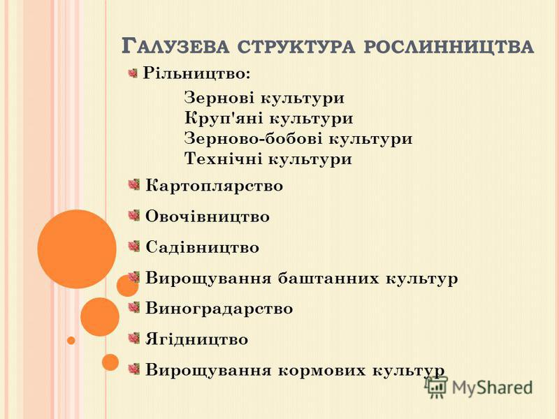 Зернові Культури Реферат