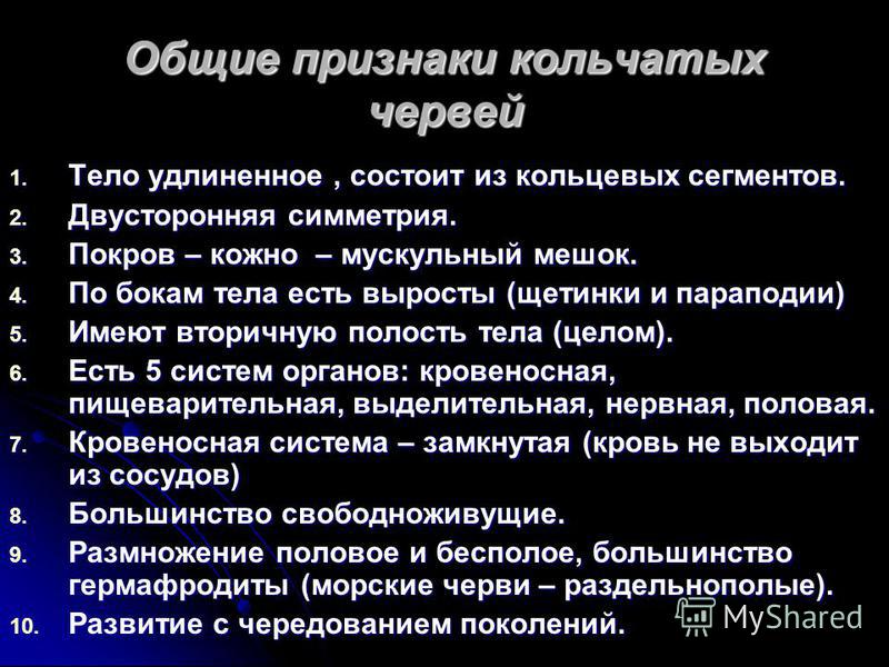 По характеру питания дождевой червь - Vetgon.ru