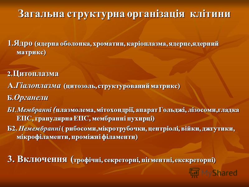 Презентацию на тему клітина