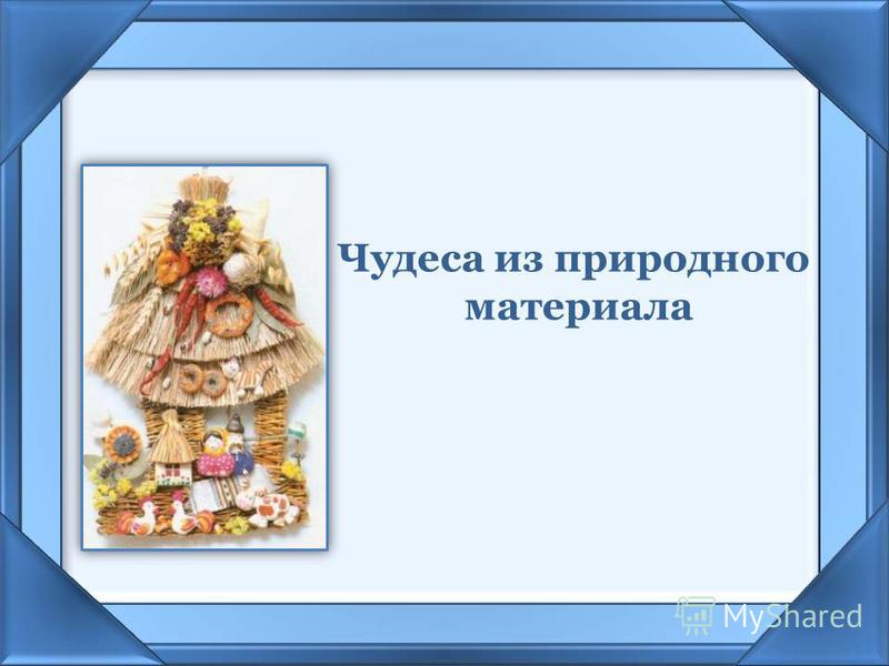 Как получить свои семена кукурузы Как получить свои семена кукурузы