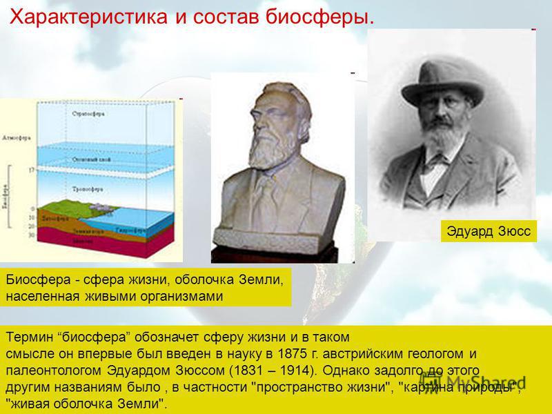 Биосфера И Человек Доклад Биосфера И Человек Доклад