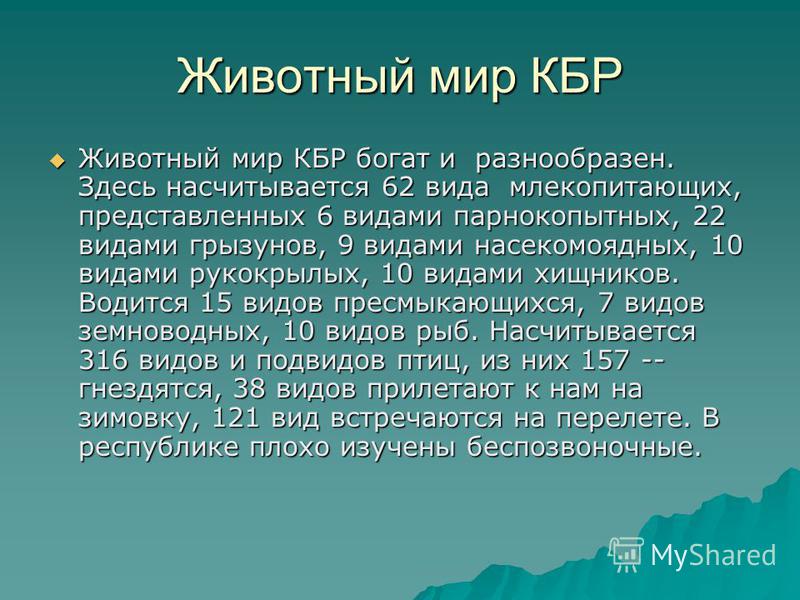 Животные кбр презентация