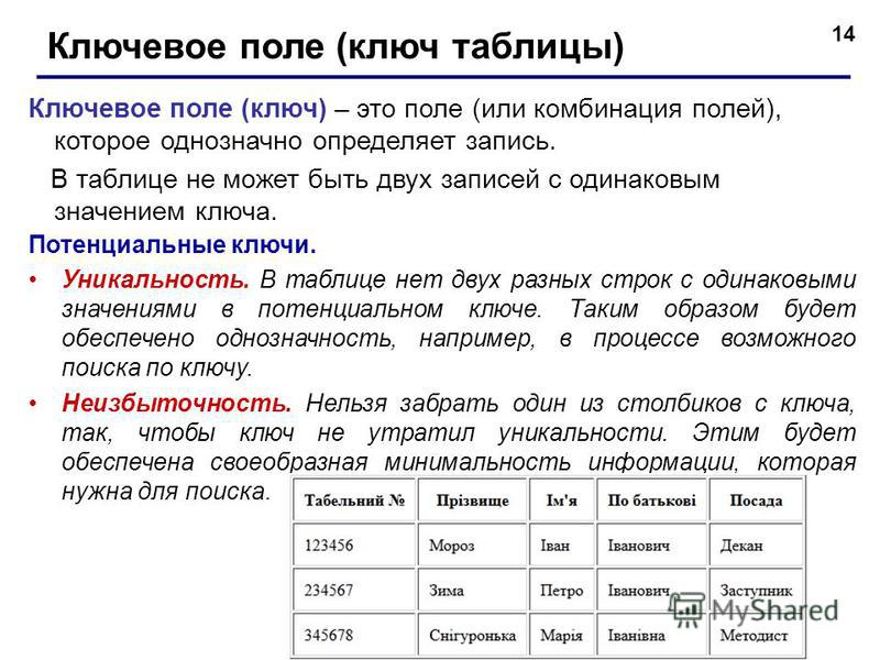 Презентация на тему "Организация баз данных"