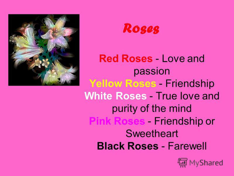 Roses Red Roses - Love and passion Yellow Roses - Friendship White Roses - True love and purity of the mind Pink Roses - Friendship or Sweetheart Black Roses - Farewell