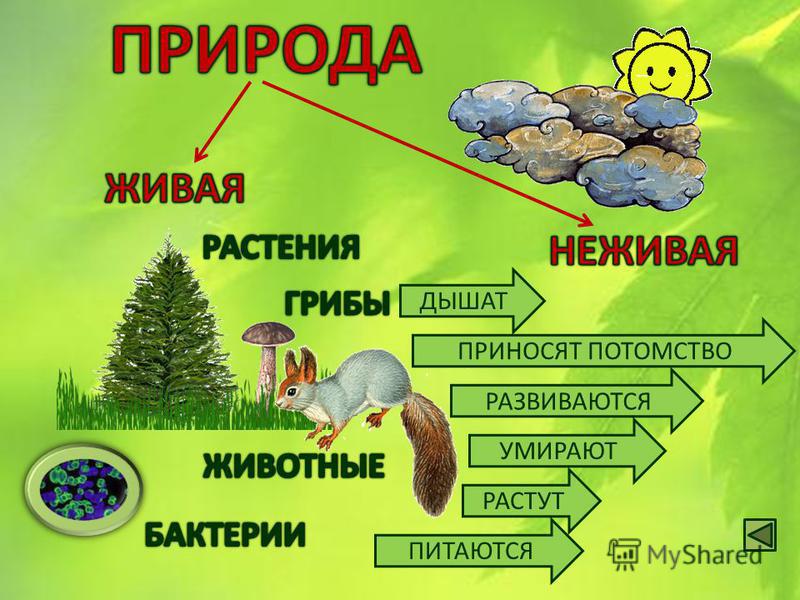 ВСЕ взаимоСВЯЗАНО. Ручное вязание для детей. | ВКонтакте