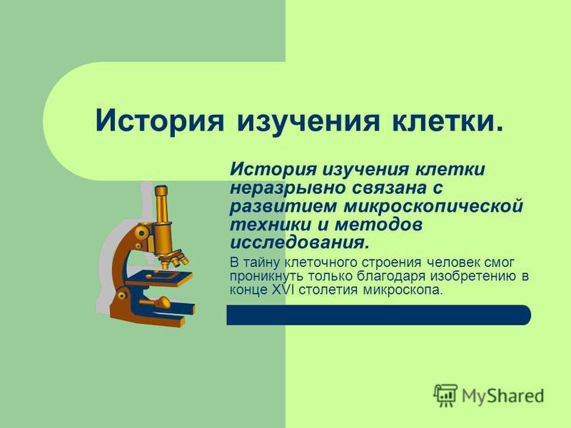 История и теория связаны История и теория связаны