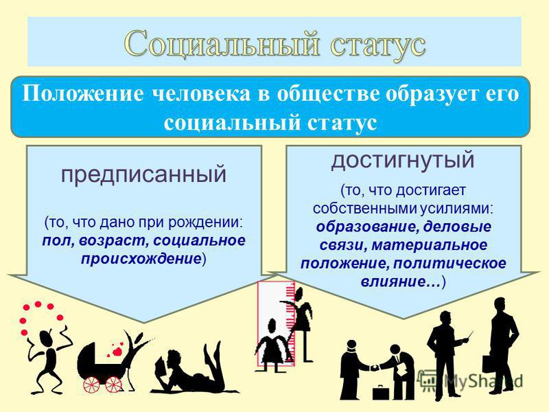 Какой у меня статус в обществе Какой у меня статус в обществе