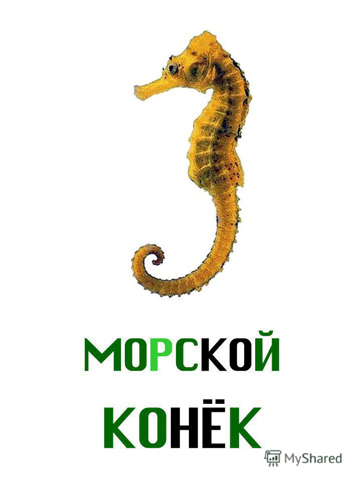 Инкубатор Бу Изготовляя самодельный электромагнит, можно ли