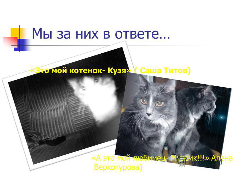 Мы за них в ответе… «Это мой котенок- Кузя» ( Саша Титов) «А это мой любимец- Мурзик!!!» Алена Верхотурова)