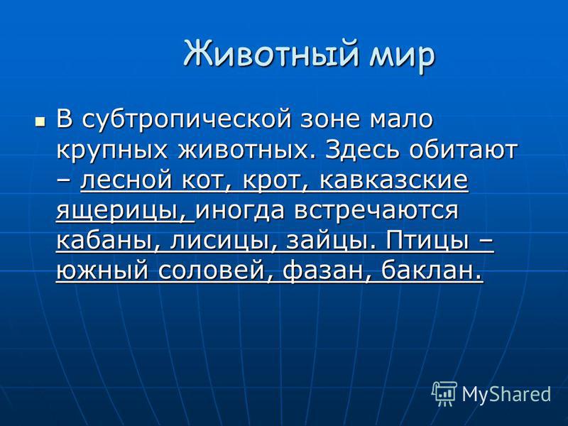 Презентация на тему зона субтропиков