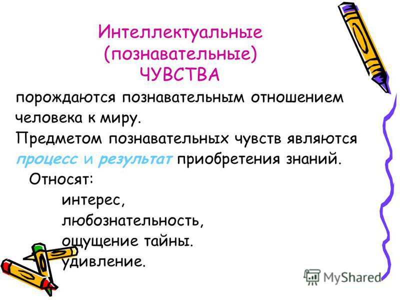 Виды познавательных отношений человека Виды познавательных отношений человека