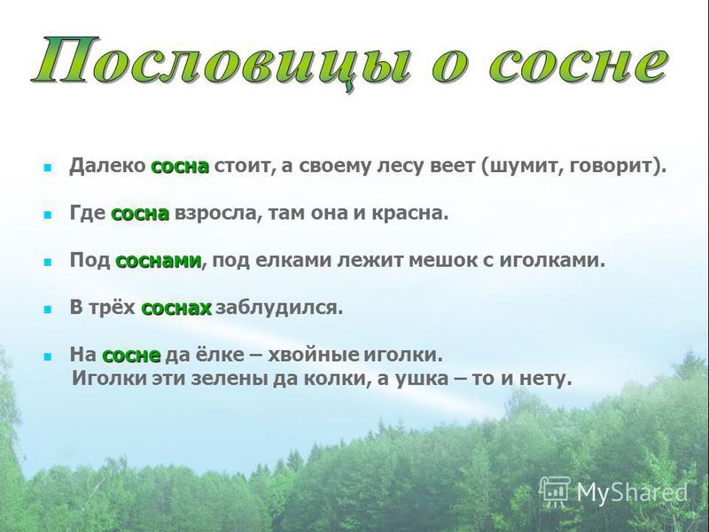 Поздние прорезывания зубов у грудничка