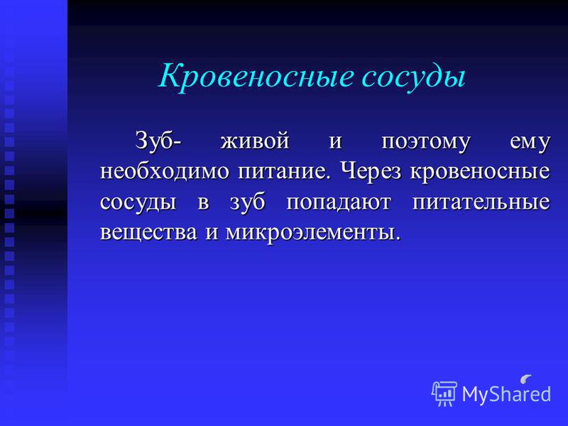 Частями зуба являются Частями зуба являются