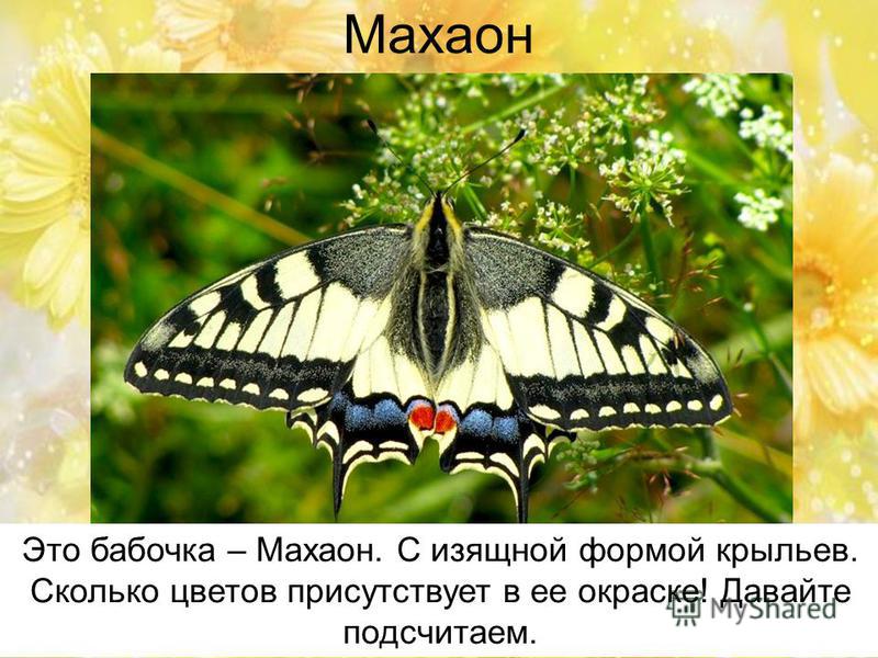 Махаон Лыткарино