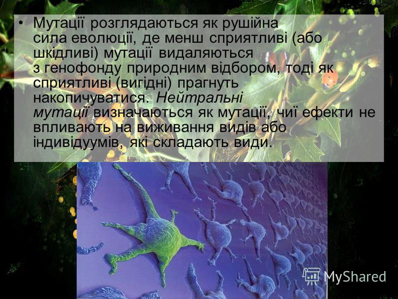лучшие рушійними силами еволюції є: примеры