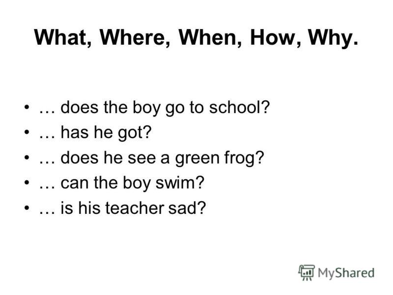 What, Where, When, How, Why. … does the boy go to school? … has he got? … does he see a green frog? … can the boy swim? … is his teacher sad?