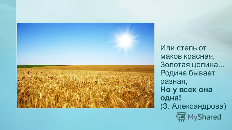 Степь от маков красная Золотая Целина