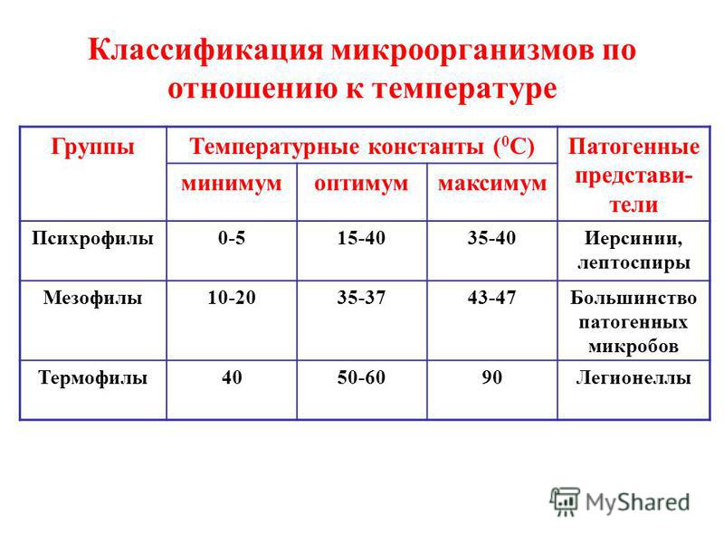 По отношению к температуре микроорганизмы делятся на По отношению к температуре микроорганизмы делятся на