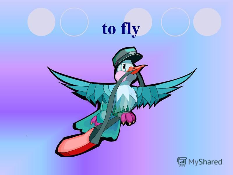 to fly