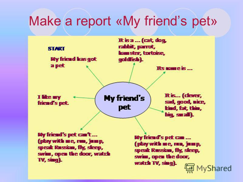 M ake a report «My friends pet»