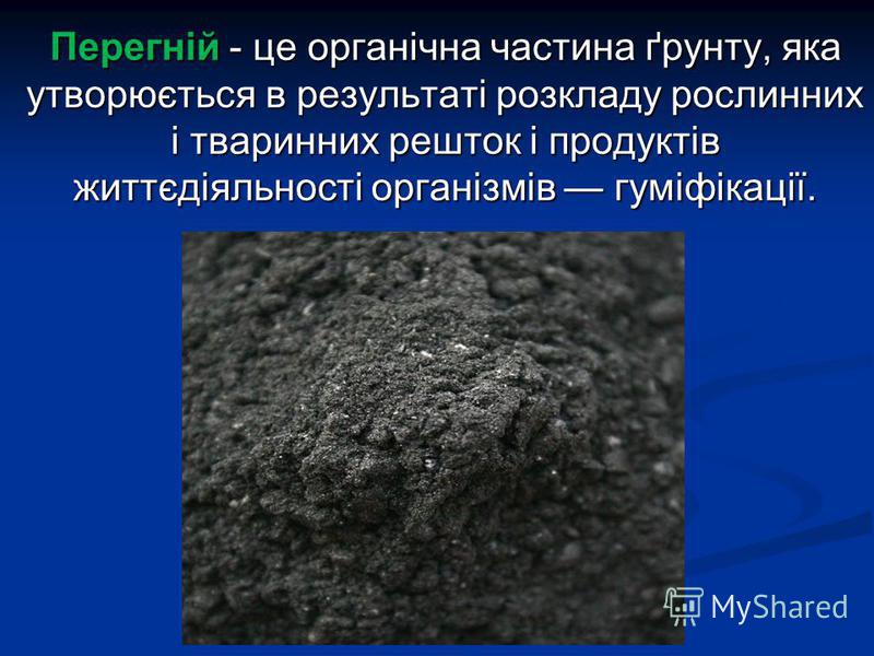 Сорт малиновый гигант томат отзывы Сорт малиновый гигант томат отзывы
