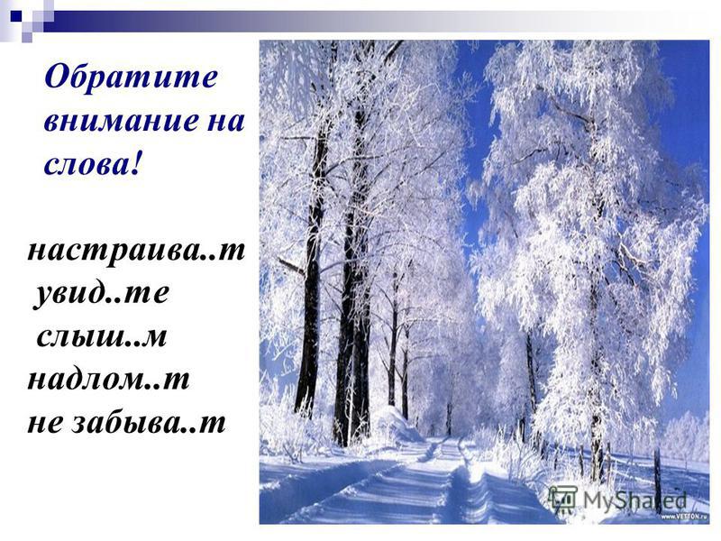 Где в железнодорожном заказать торт фото 8