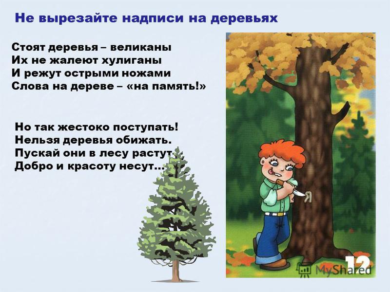Омар Хайям Стихи Поздравления С Днем Рождения Купить Выкройкаподробный МК Поросёнок