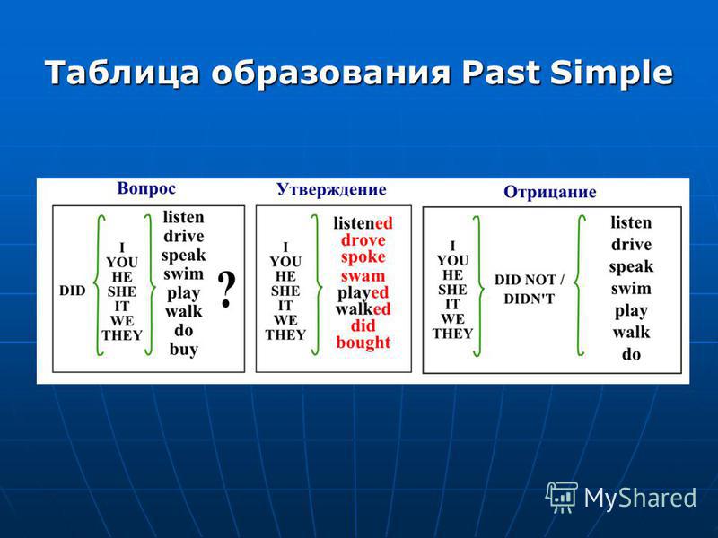 Сеть своими руками схемы Сеть своими руками схемы