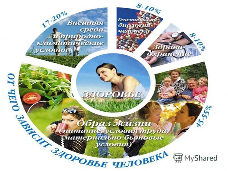 беседа здоровый образ жизни 1 класс беседа здоровый образ жизни 1 класс