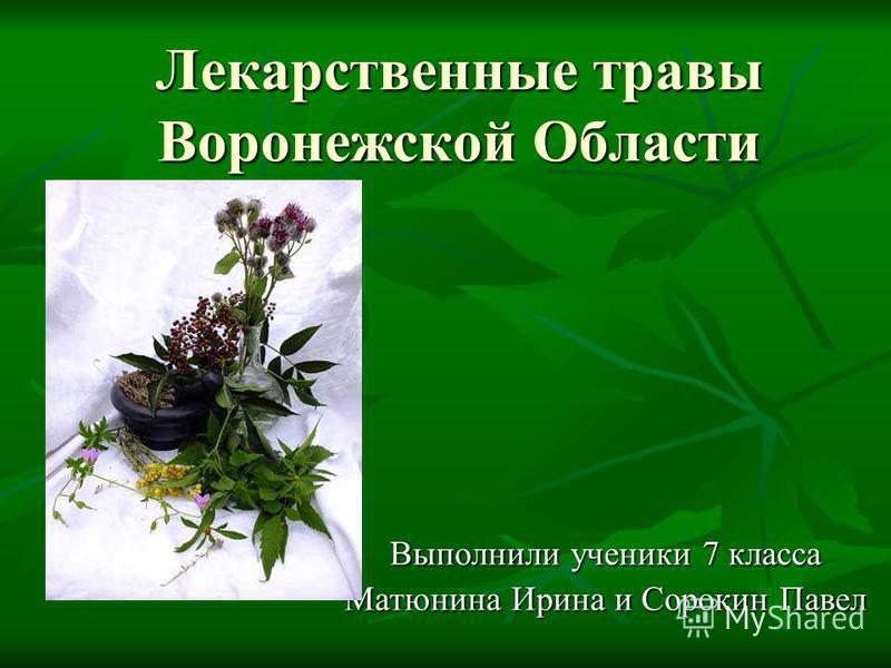 Лекарственные травы скачать книгу бесплатно