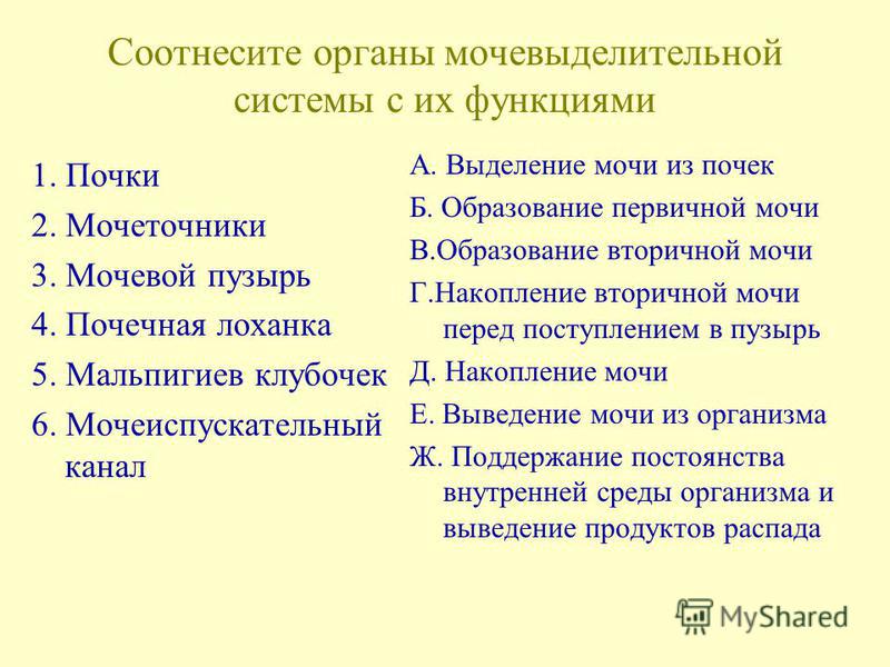 Гели для наращивания Canni/Канни. Купить гели Кани с. - Джеленс Выпал зуб во сне с кровью сонник