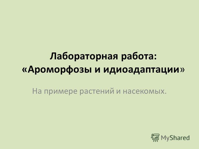 Практическая Работа Выявление Идиоадаптации У Животных