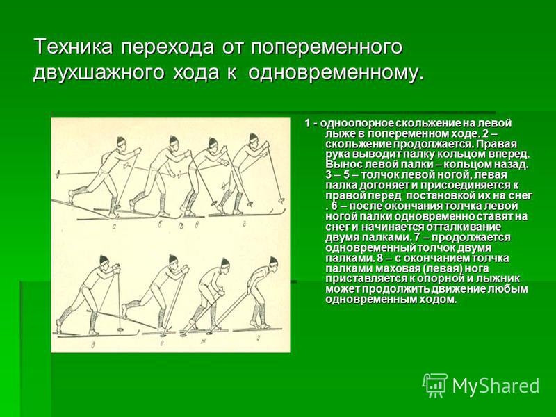 Реферат на тему техника попеременного двухшажного хода