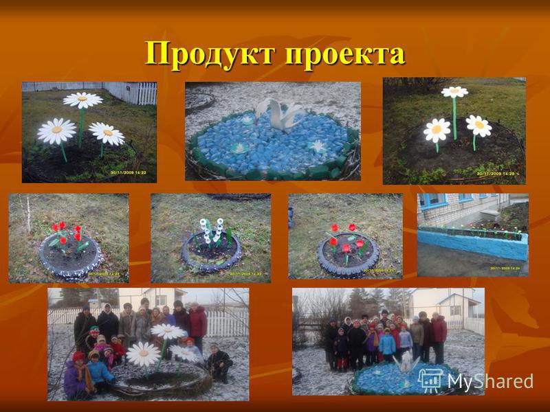 Конкурс пришкольного участка Конкурс пришкольного участка
