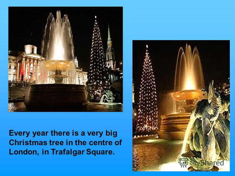 Every year there is a very big Christmas tree in the centre of London, in Trafalgar Square.