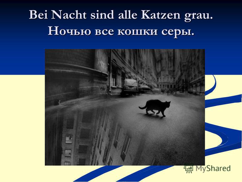 Смысл поговорки ночью все кошки серы