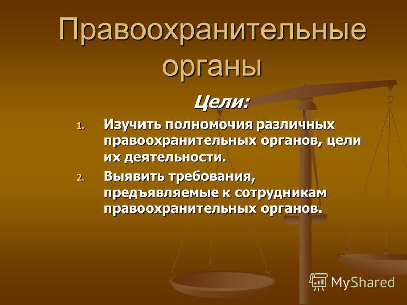 Курсовая работа по теме Государственные и негосударственные органы, занимающиеся правоохранительной деятельностью Курсовая работа по теме Государственные и негосударственные органы, занимающиеся правоохранительной деятельностью
