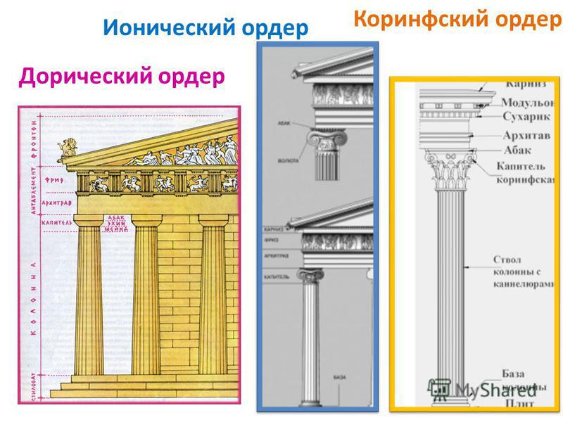 Схема дорического и ионического ордера Схема дорического и ионического ордера