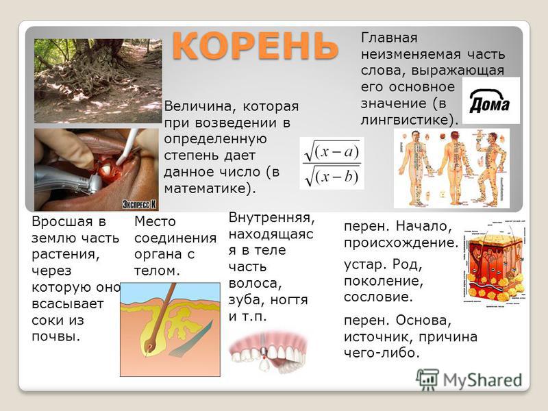 Внутренняя трясучка в теле Внутренняя трясучка в теле